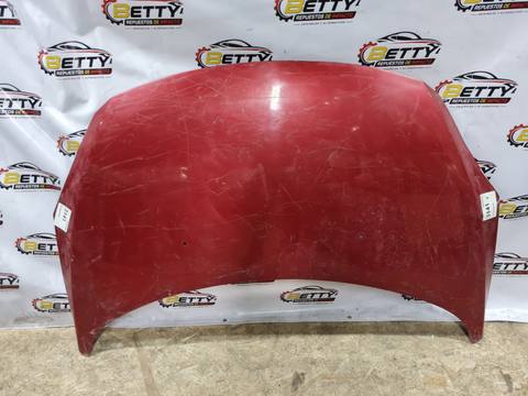 Capot Peugeot 307 2007, 2008, 2009, 2010, 2011 y 2012 usado en buen estado