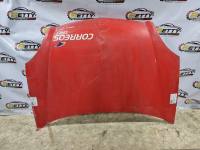 Capot Renault Kangoo 2005, 2006, 2007 y 2008 usado en buen estado