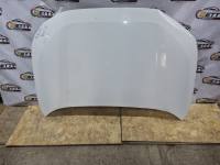 Capot Toyota Rav4 2021, 2022, 2023, 2024, 2025 y 2026 usado en buen estado