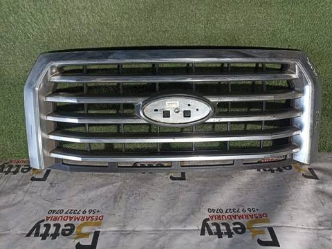 Mascara Ford F150 2016, 2017 y 2018 usado en buen estado
